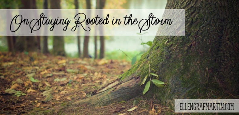 On Staying Rooted in the Storm {Guest Post}