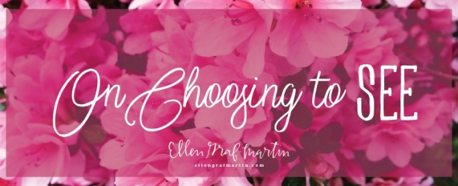 On Choosing To SEE {Ellen's Picks Link Up}