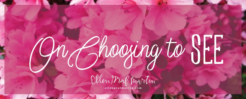 On Choosing To SEE {Ellen's Picks Link Up}