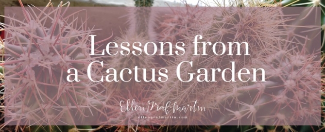 Lessons from a Cactus Garden