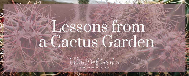 Lessons from a Cactus Garden