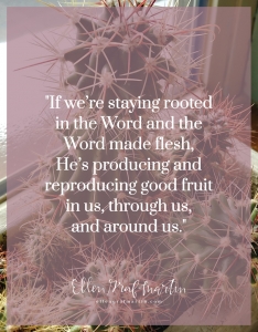 Lessons from a Cactus Garden