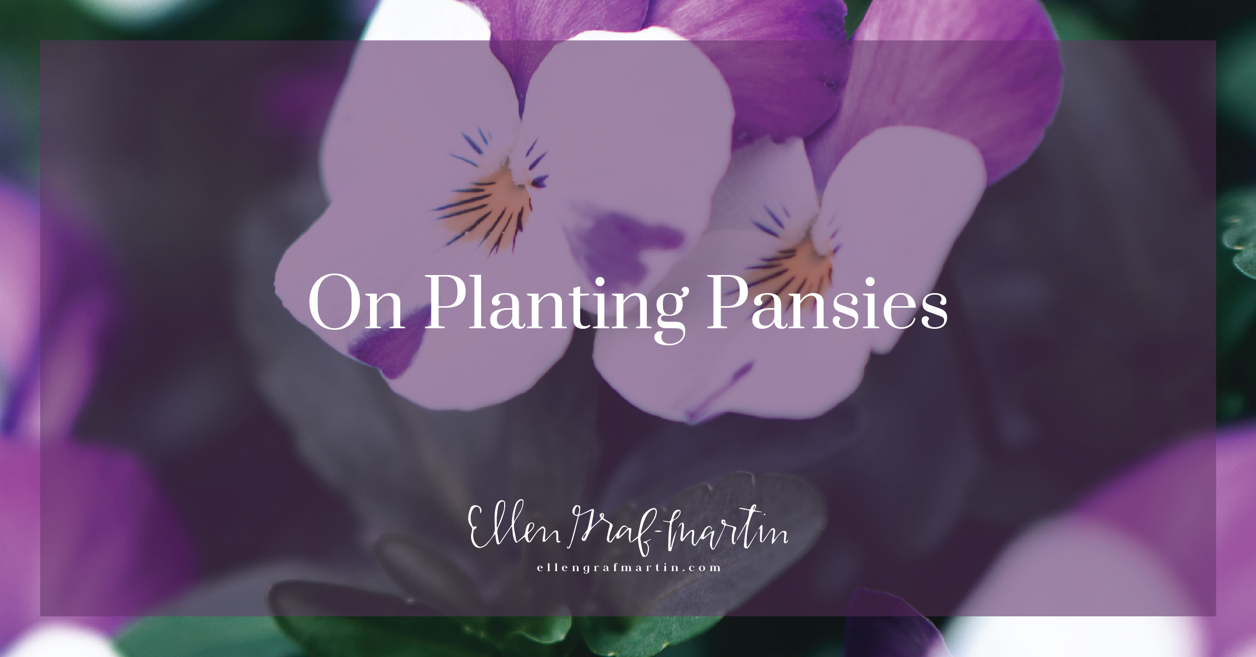 On Planting Pansies